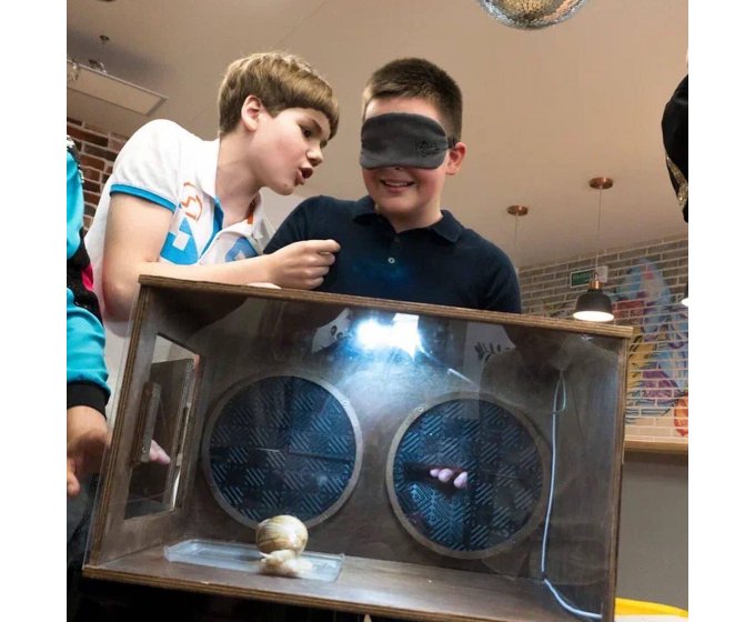 Аниматор Блогер Тик Ток заказать в Минске - Улетные Качели